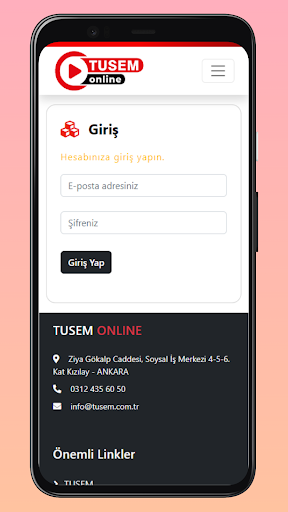 TUSEM Online Screen 3