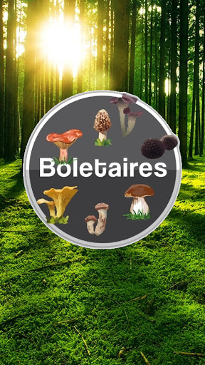 Android application Boletaires Premium: Todo sobre screenshort