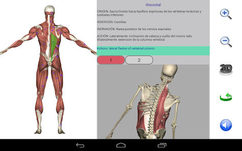 Captura de Pantalla 11 Visual Anatomy android