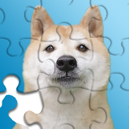 Jigsaw Drop Puzzle  Icon
