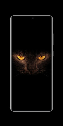 Black Live Wallpaper Screen 2