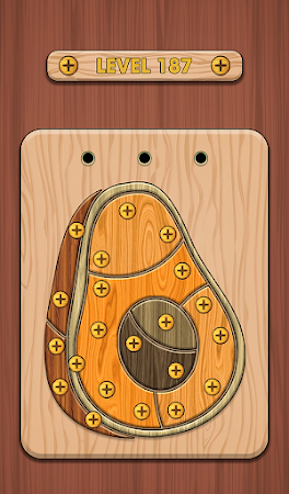 Game screenshot Nuts & Bolts 3D: Screw Master hack