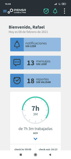 Piensa Consulting Screen 2