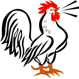 পোলট্রঠর রোগ ও চঠকঠৎসা (হাঁস, মুরগঠ, টার্কঠ) icon
