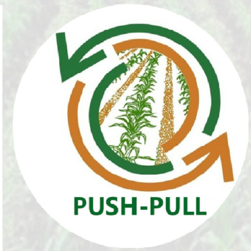 PUSH-PULL app logo