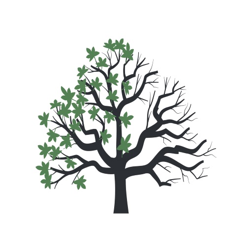YaşOkulu logo