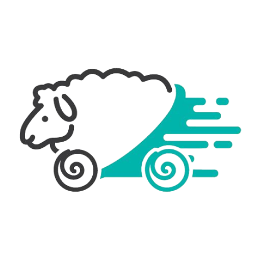 銳龍國際 logo