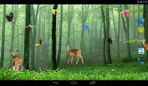 Rain Forest Live Wallpaper For PC installation