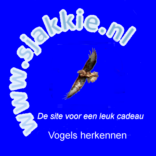 Vogels herkennen  Icon