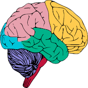 Psychological Big Five Personality Assessment Test