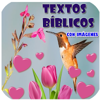 Textos Bíblicos con Imágenes-descarga gratis-Amor