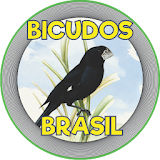 BICUDOS BRASIL icon