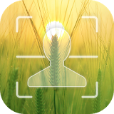 Barley Facelock theme icon