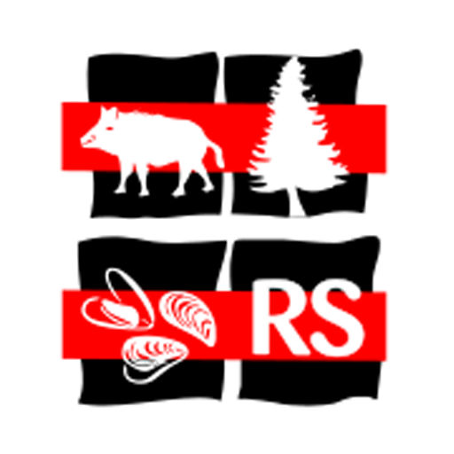 Invasoras RS logo