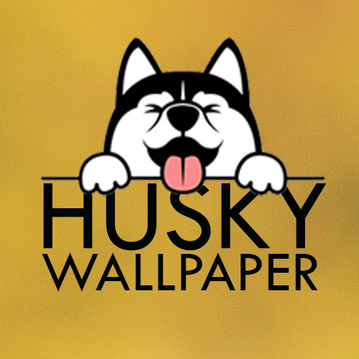 Husky Wallpapers HD Download on Windows