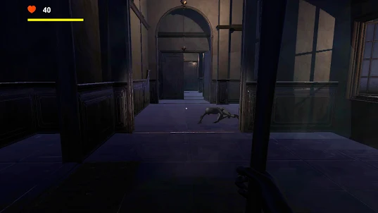 Shadows of Horror