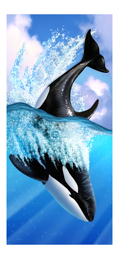 Orca Whale Wallpaper Live HD
