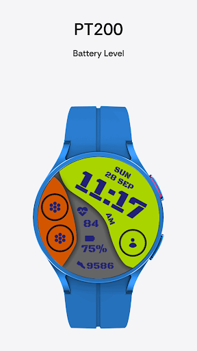 PT200 - Digital Watch Face screenshot 4