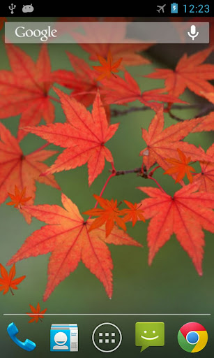 Android application Maple Leaf Live Wallpaper screenshort
