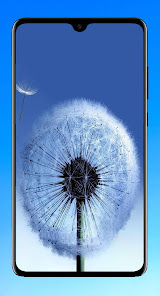 Screenshot 4 Dandelion Wallpaper HD android