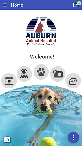 Android application Auburn Vet screenshort