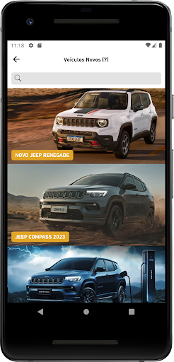 Divesa Jeep Screen 3