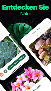 NatureID - Pflanzen bestimmen Screenshot