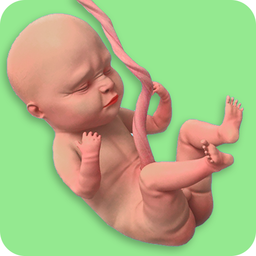 Mom Pregnancy Games: Mom Care logo