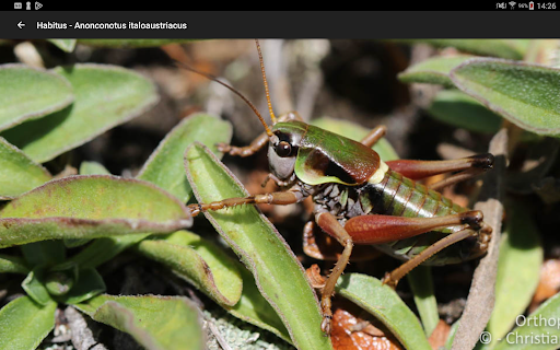 Logo https://play-lh.googleusercontent.com/HtMIwKJwidYtM86O_be1RQnEfQ1l-gz2WwC6Ks8aI66F-R_eQC1BsdgmaBkUSAkyo5go