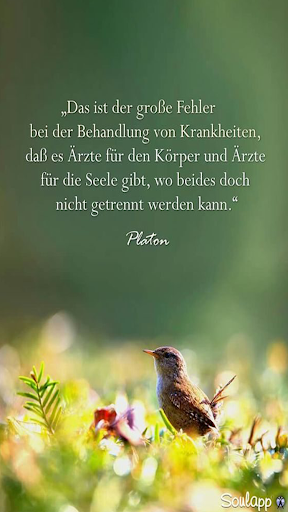 Lektionen fürs Leben & Sprüche Screen 2