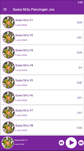 Sirtu Birds Souds Screen 3