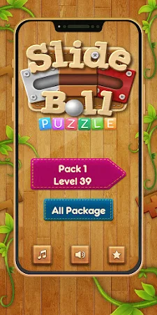 Game screenshot Slide the Ball Puzzle Game mod apk