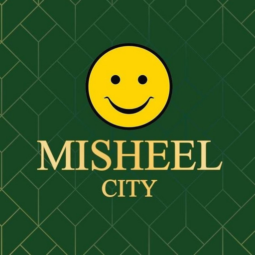 Misheel city 1.0.2 Icon