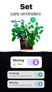 NatureID- Plant Identification 2.29.6 3