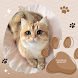 Cute Kitten Wallpaper - Androidアプリ
