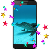 Alligator HD Video LWP icon