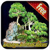Design Bonsai Ideas icon