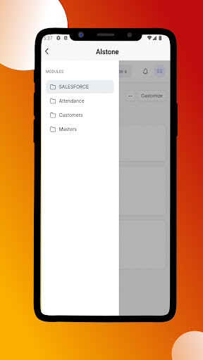 Alstone Salesforce Screen 2
