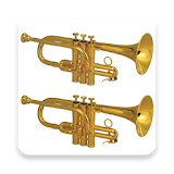 Trumpet Virtual Real icon