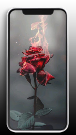 Sad Wallpaper HD: Alone Broken Screen 2