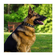 German shepherd world-Product Reviews app