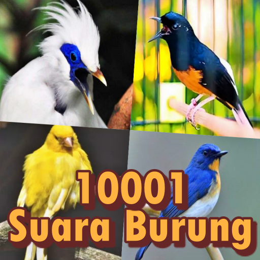 1001 Suara Kicau Burung MP3 logo