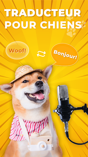 Aperçu de l'application