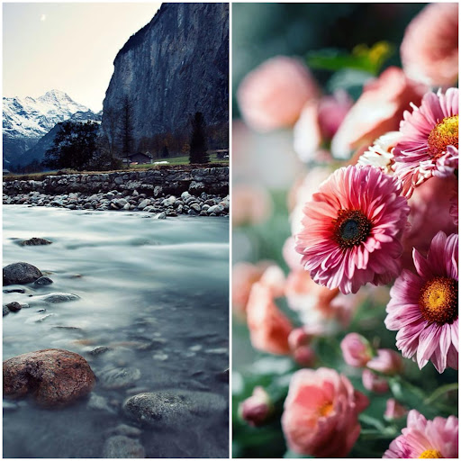 Nature Wallpapers HD 2024