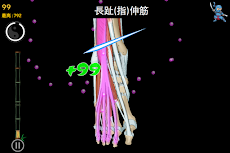 Anatomy Ninja Lower Limbのおすすめ画像1