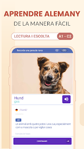 Imatge d'una captura de pantalla