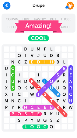 Game screenshot Word Search apk download