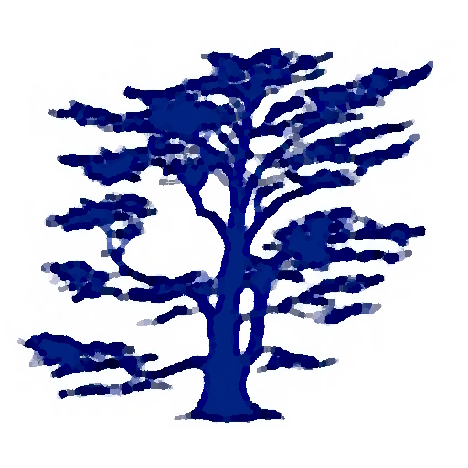 Orton Bradley Scanner