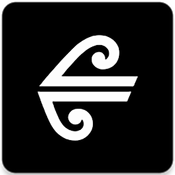 图标图片“Air NZ”