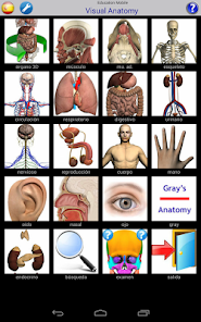 Captura de Pantalla 14 Visual Anatomy android